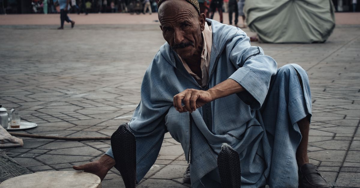 A captivating street snake charmer performing in an urban setting with traditional attire.
